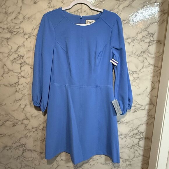 NEW Eliza J Seamed Long Sleeve Dress in Periwinkle Size 12 - Picture 2 of 10